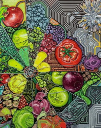 O papel da precaução e da prevenção na regulamentação dos transgênicos