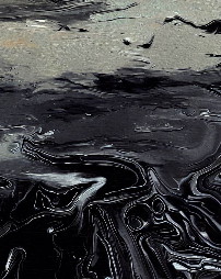 A responsabilidade ambiental penal da pessoa jurídica pelo derramamento de petróleo